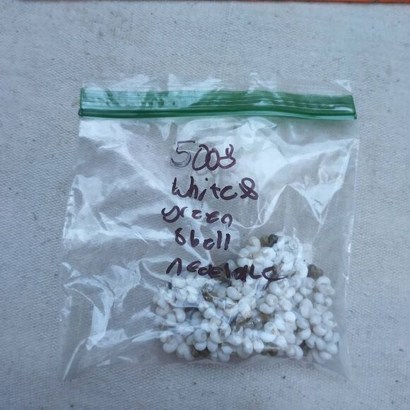 5008 Sea Shell Necklace - Picture 2 of 2